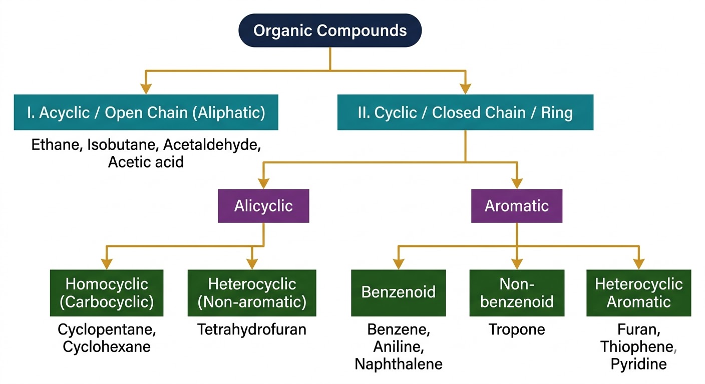 Classification Mind Map